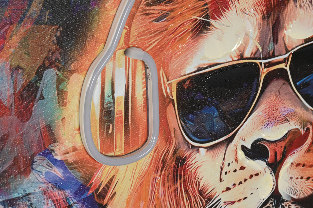 PACK DE 2 CUADRO LED LIENZO 123X3X83 MOTO MONO 2 SURT.