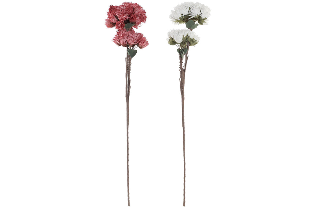 PACK DE 12 FLOR EVA 25X90 2 SURT.