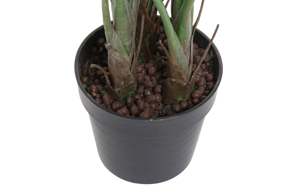 PLANTA PVC 100X100X145 STRELITZIA