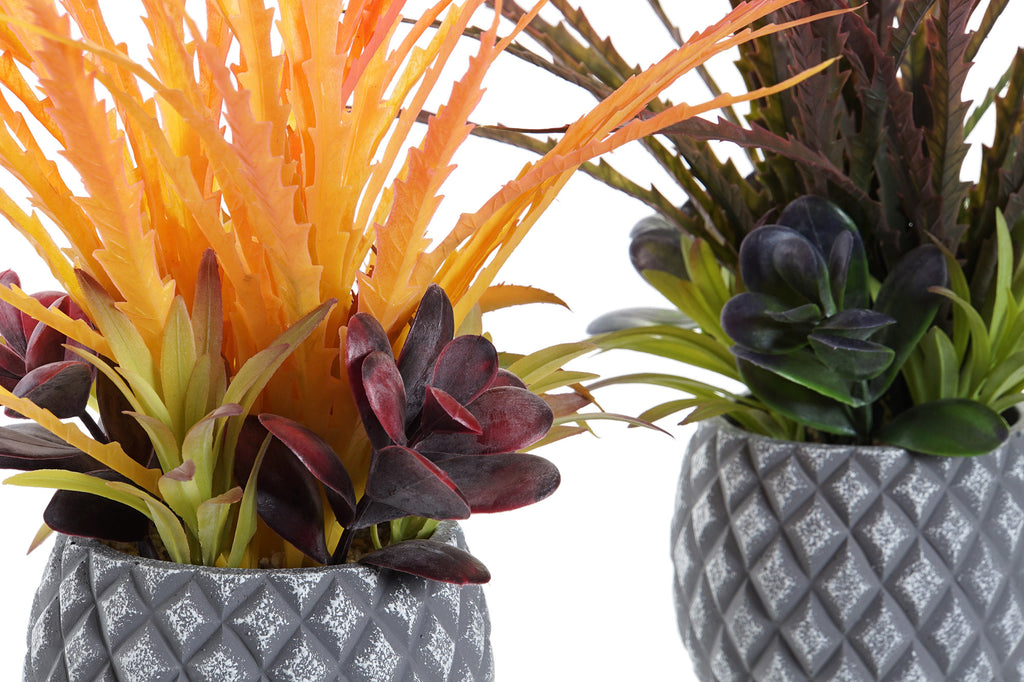 PACK DE 4 PLANTA PP GRES 31X28X29 2 SURT.