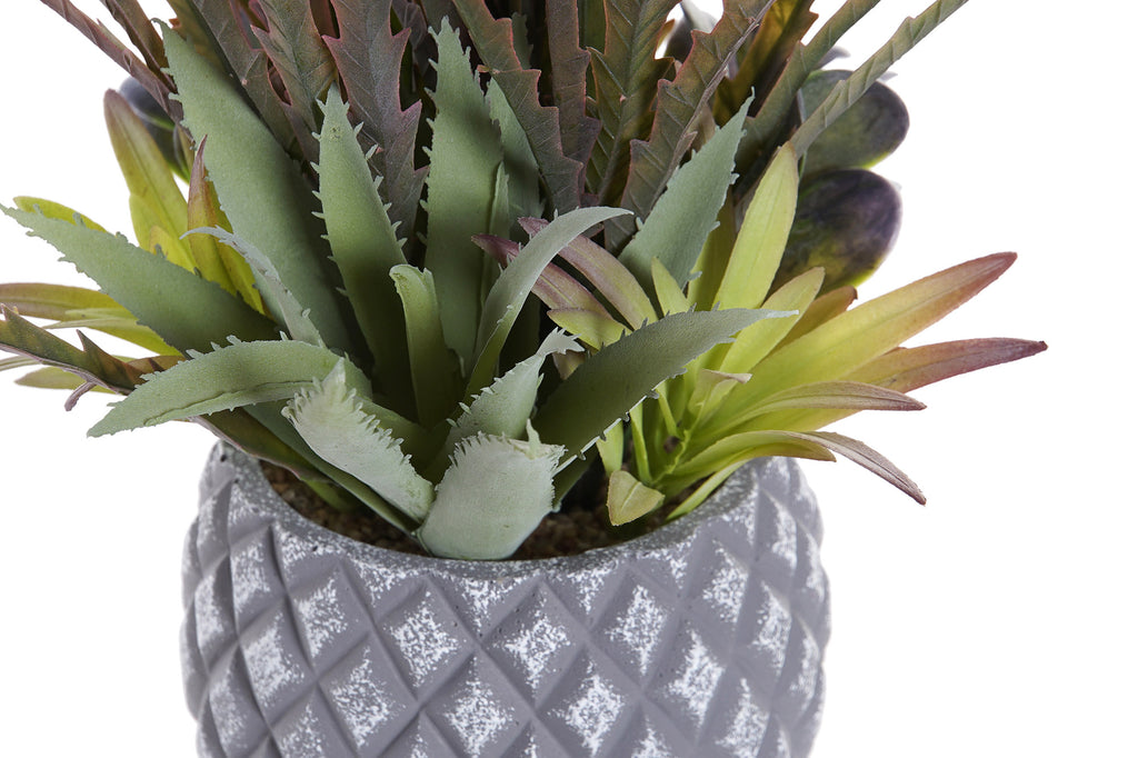 PACK DE 4 PLANTA PP GRES 31X28X29 2 SURT.