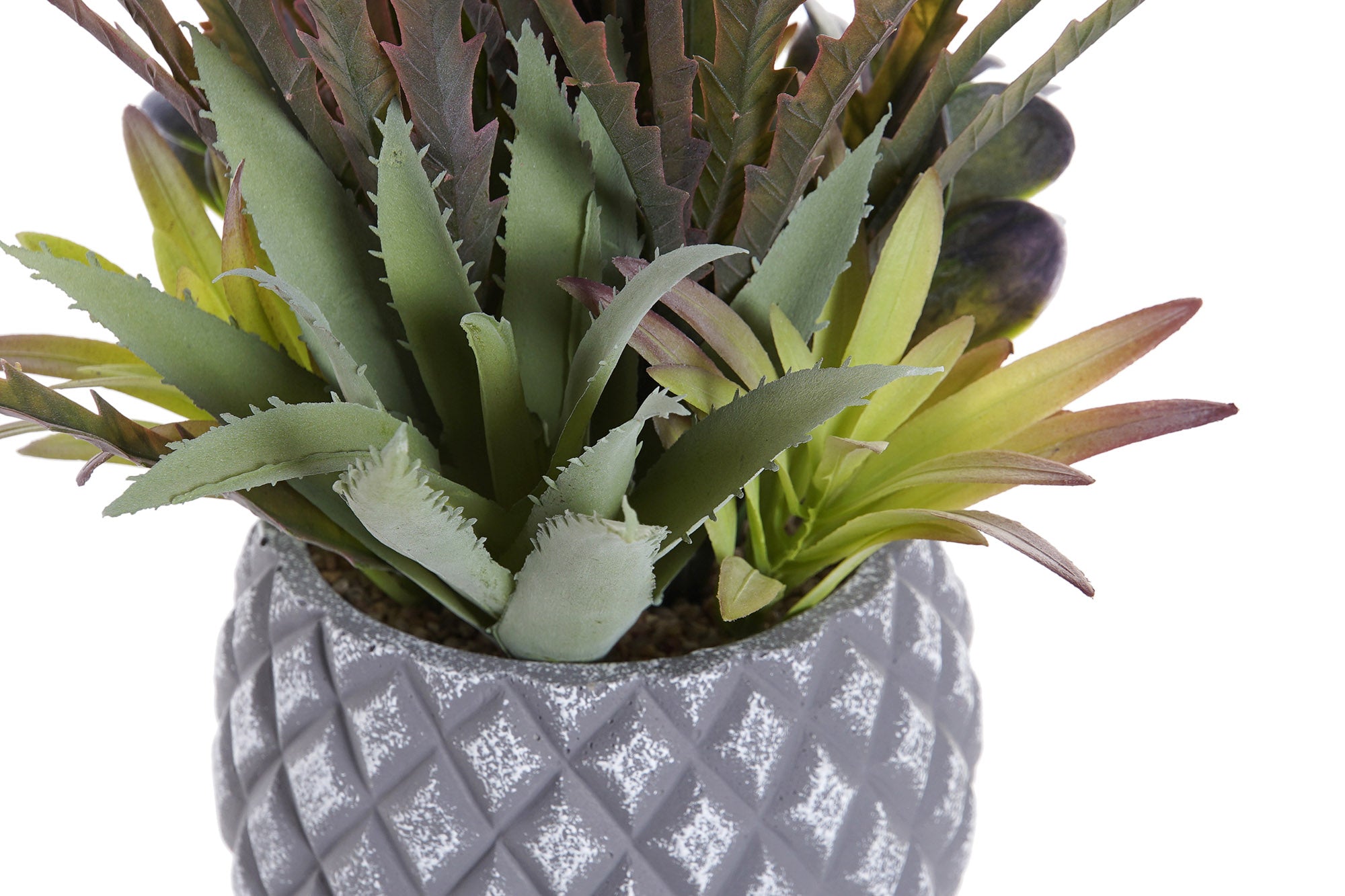 PACK DE 4 PLANTA PP GRES 31X28X29 2 SURT.