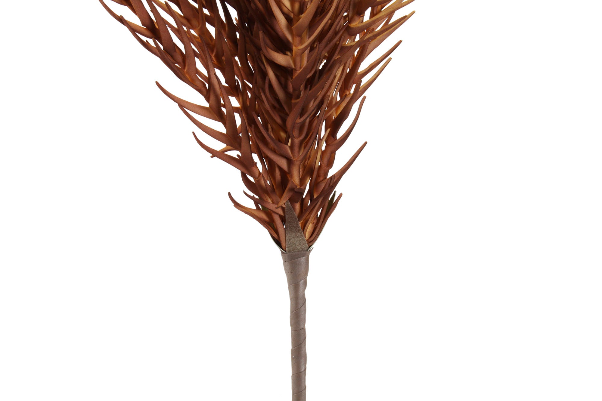 PACK DE 12 RAMA EVA 30X8X83 2 SURT.