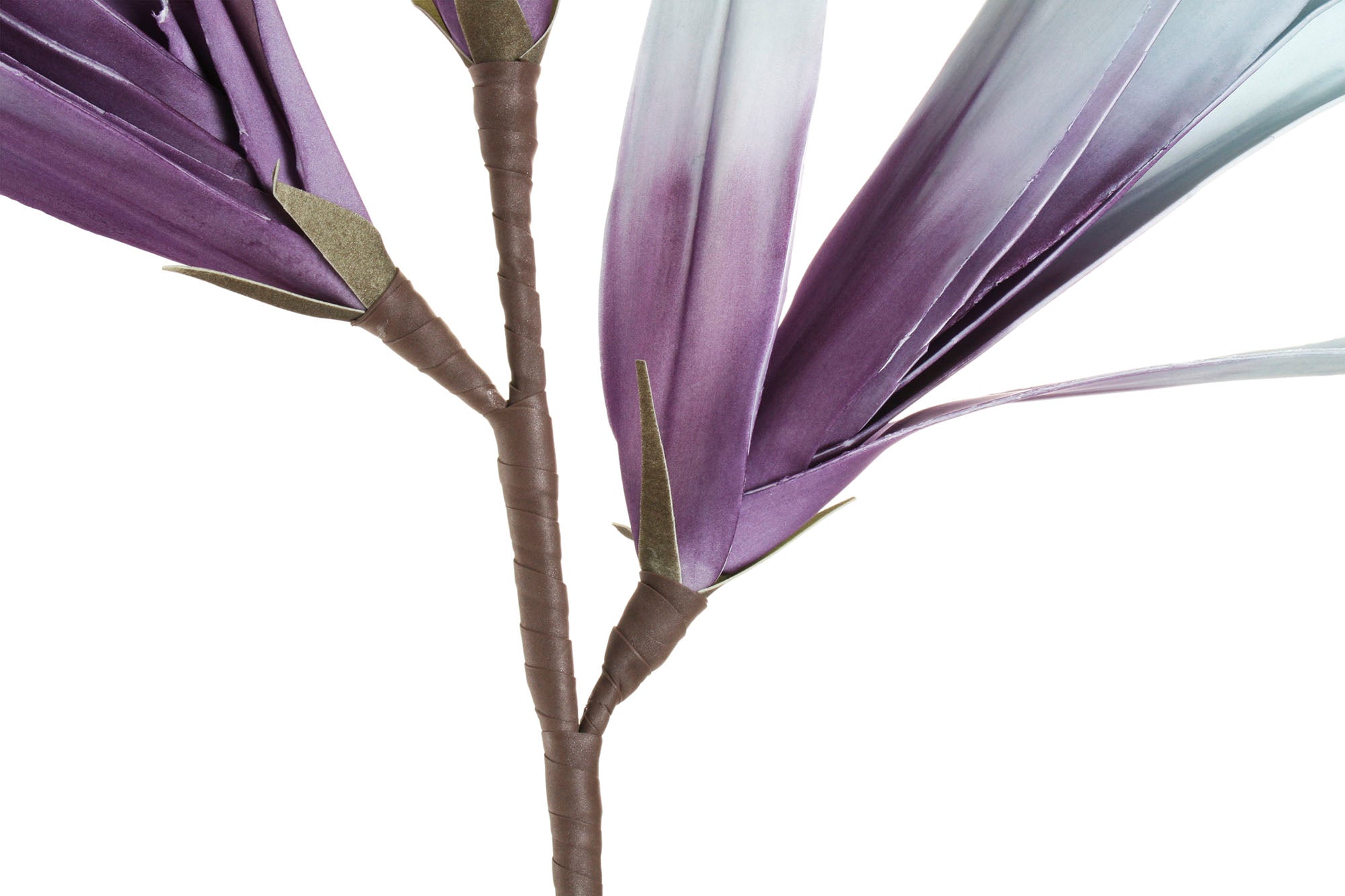 PACK DE 6 RAMA EVA 45X45X122 2 SURT.