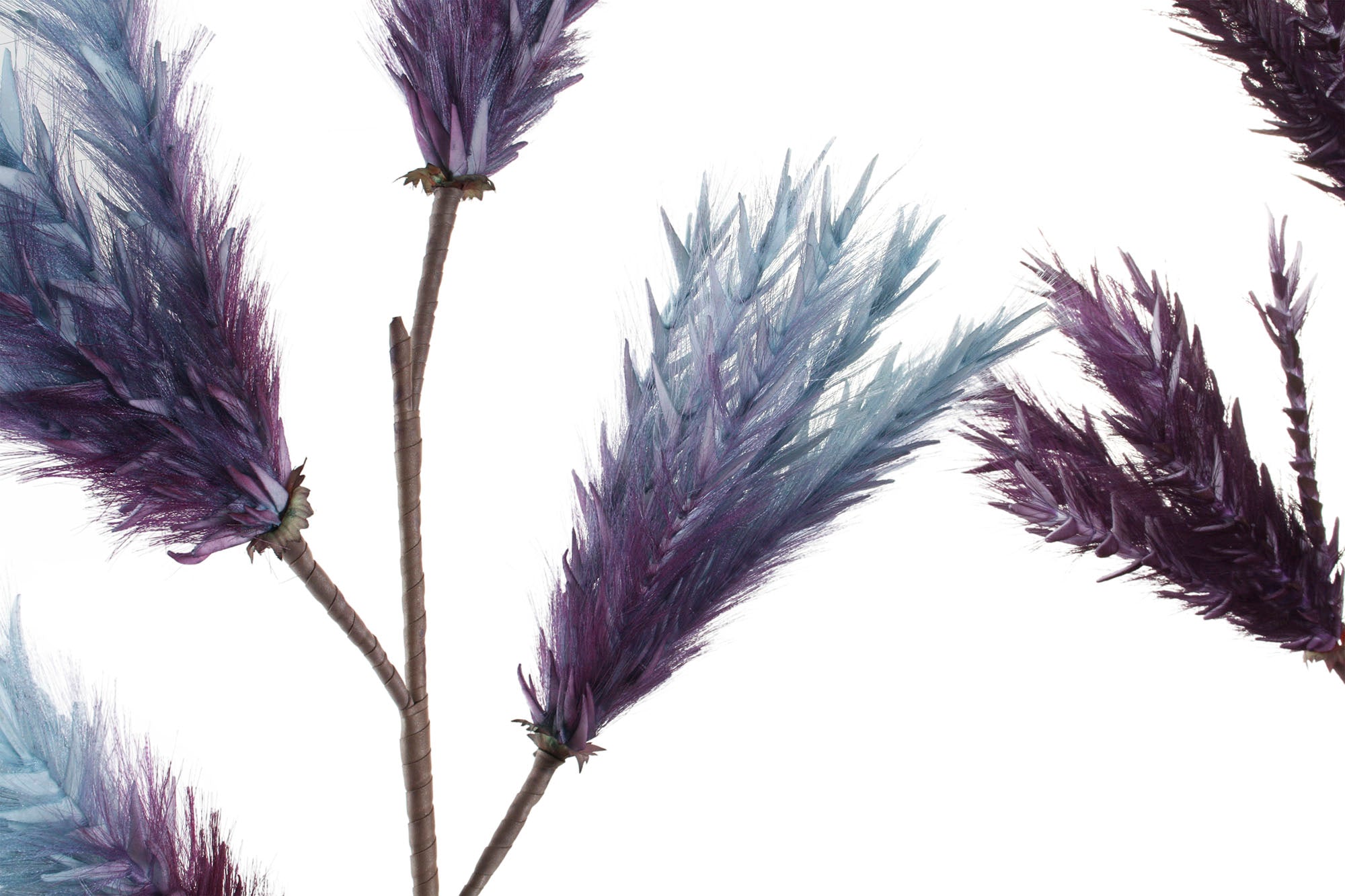 PACK DE 6 RAMA EVA 25X25X95 2 SURT.