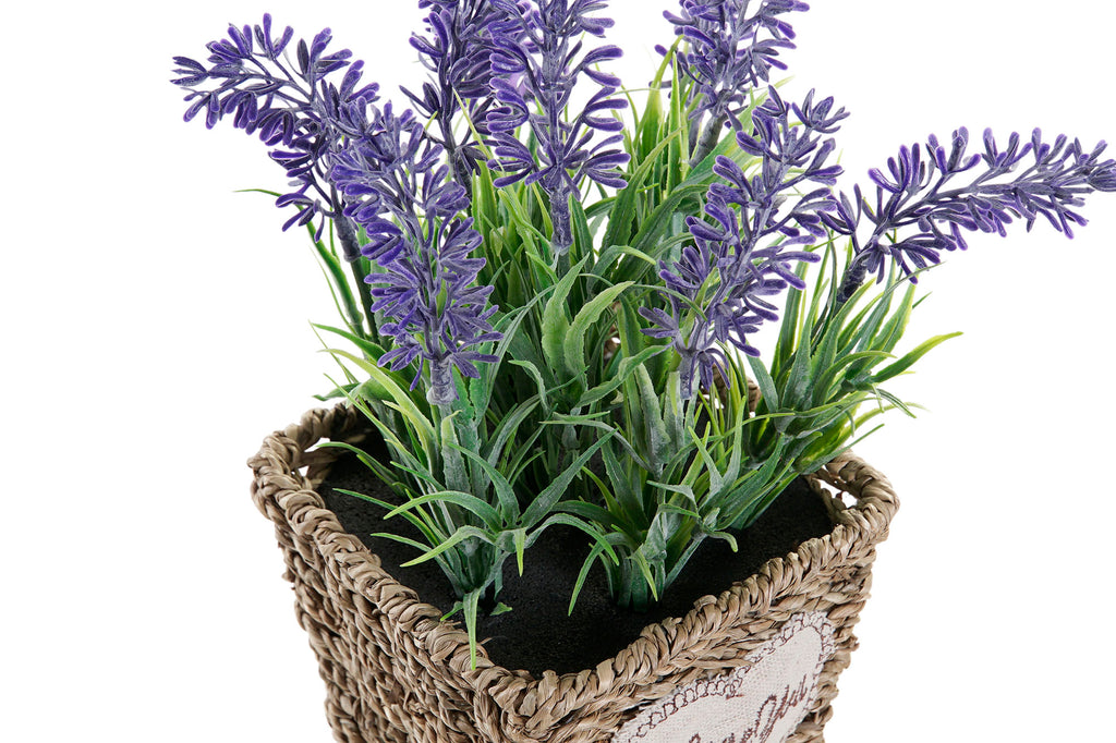 PACK DE 6 PLANTA PE METAL 12X12X22 LAVANDA LILA