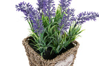 PACK DE 6 PLANTA PE METAL 12X12X22 LAVANDA LILA