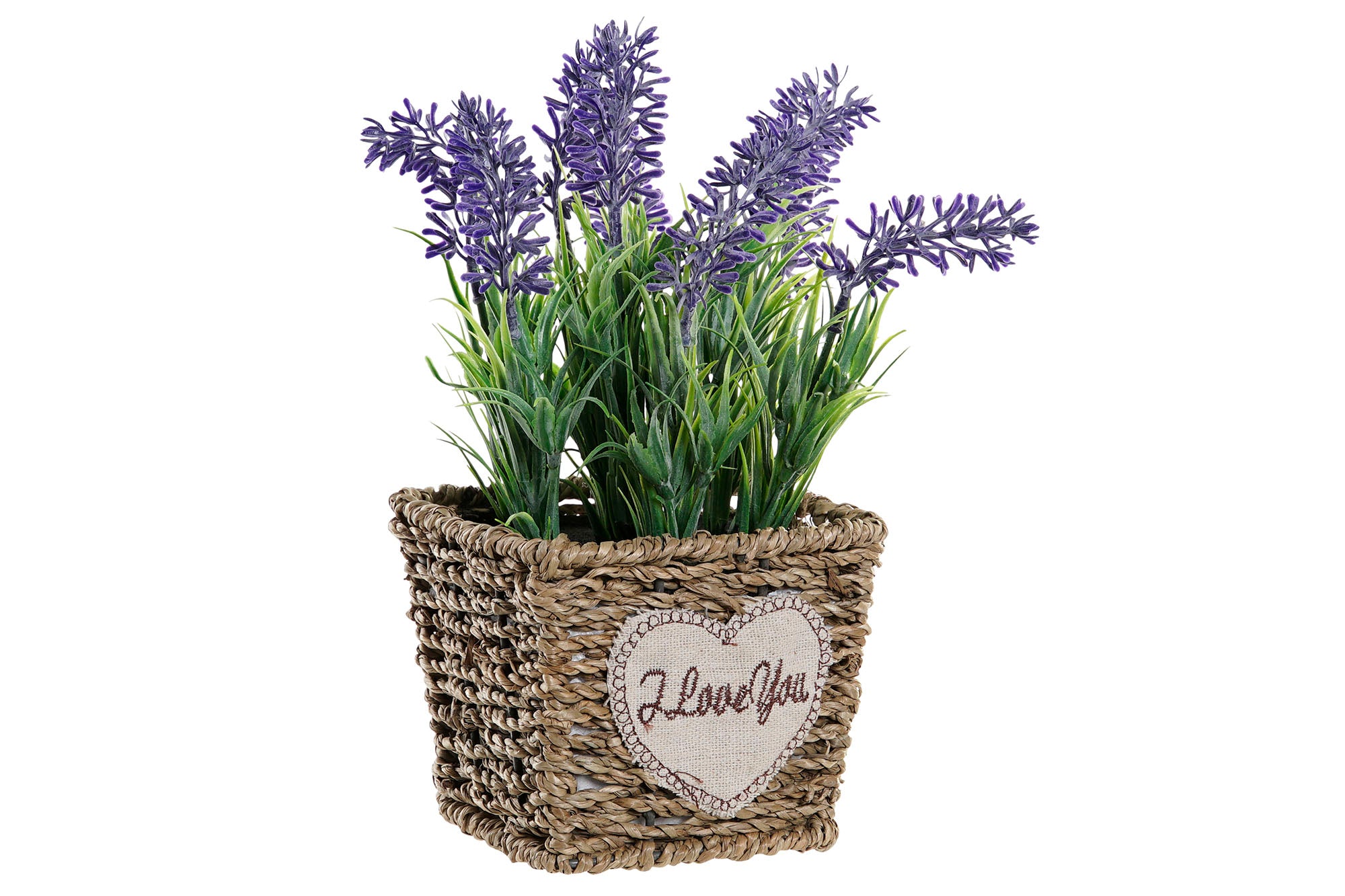 PACK DE 6 PLANTA PE METAL 12X12X22 LAVANDA LILA