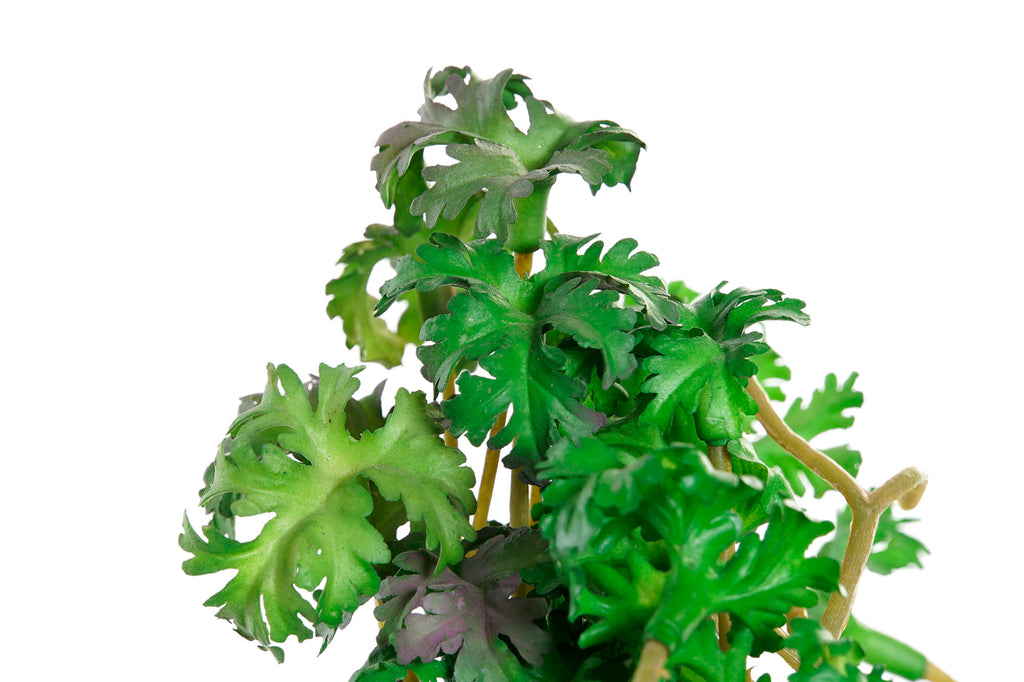 PLANTA TERRACOTA PVC 13,7X13,2X27,5 MUJER BLANCO