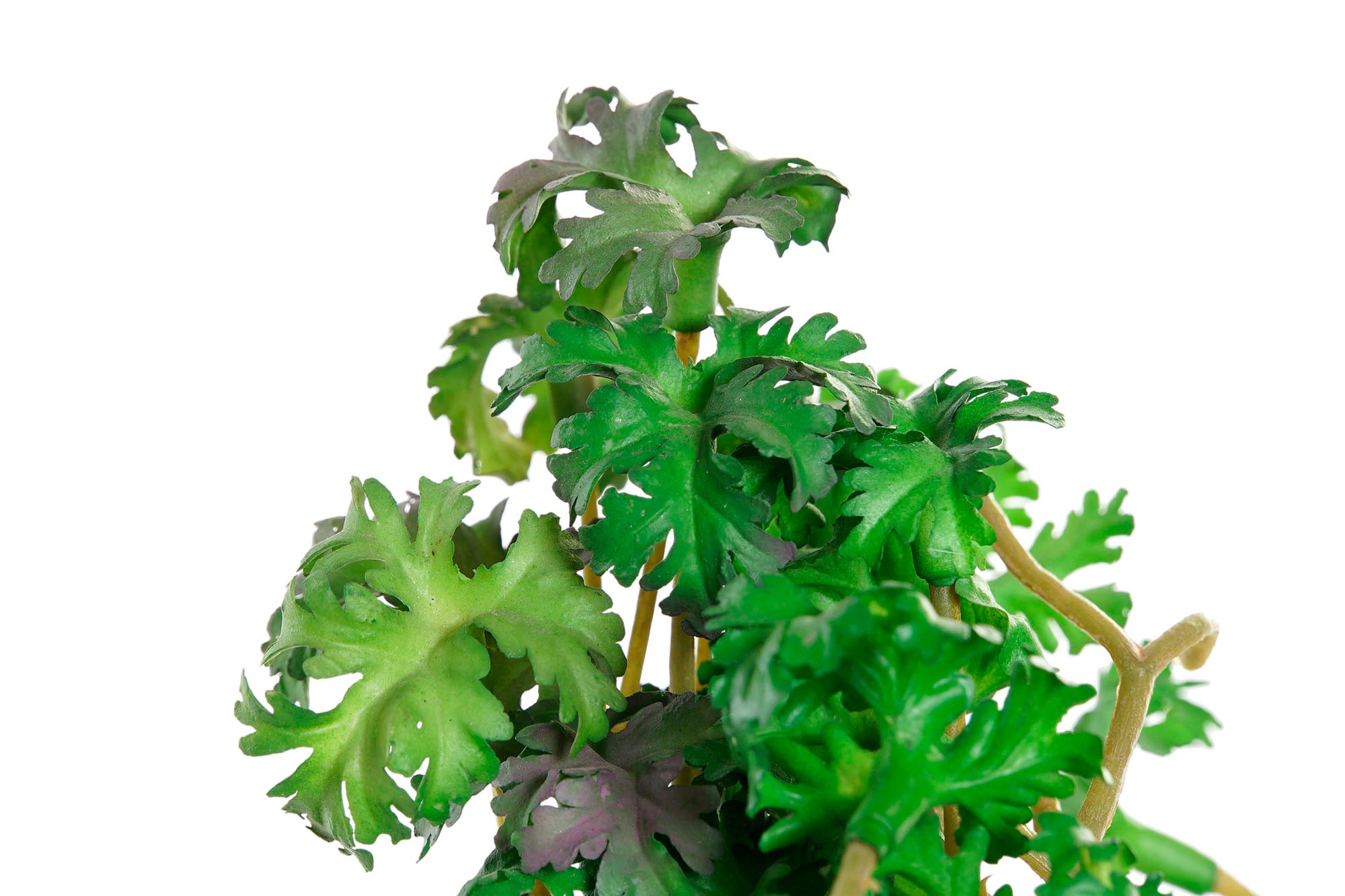 PLANTA TERRACOTA PVC 13,7X13,2X27,5 MUJER BLANCO