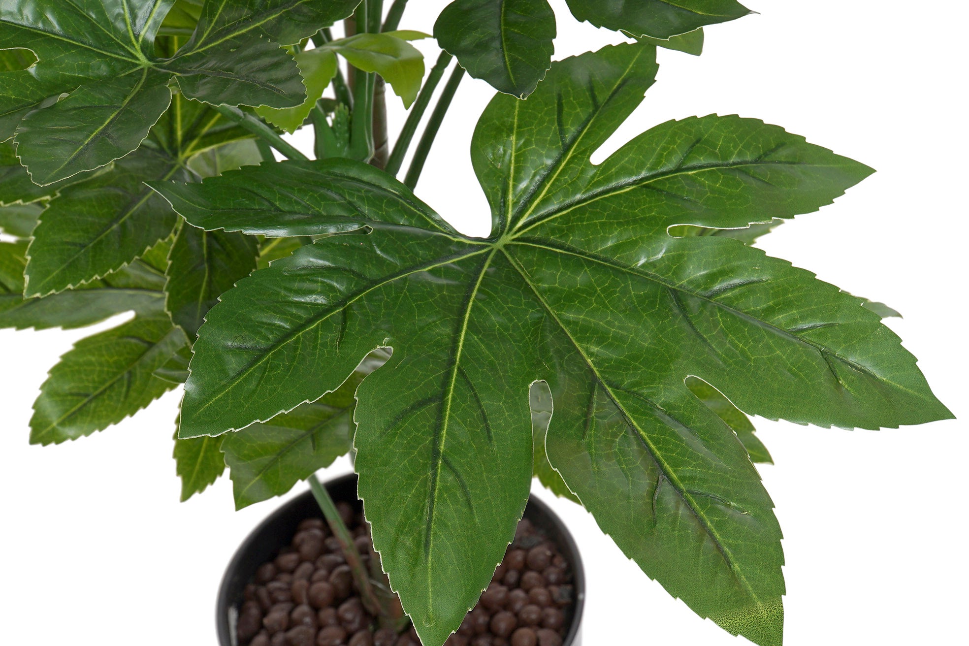 PACK DE 2 PLANTA PVC 64X64X90 FATSIA JAPONICA VERDE
