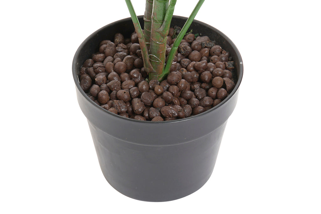 PACK DE 2 PLANTA PVC 64X64X90 FATSIA JAPONICA VERDE