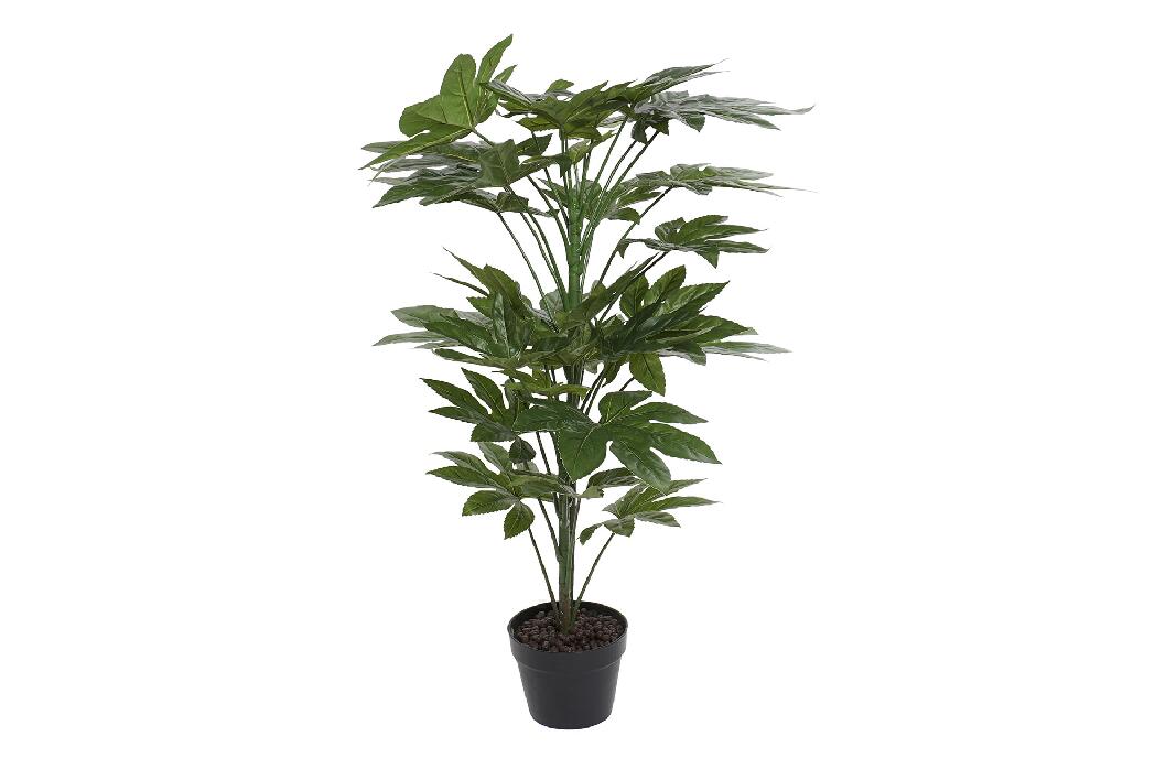 PACK DE 2 PLANTA PVC 64X64X90 FATSIA JAPONICA VERDE