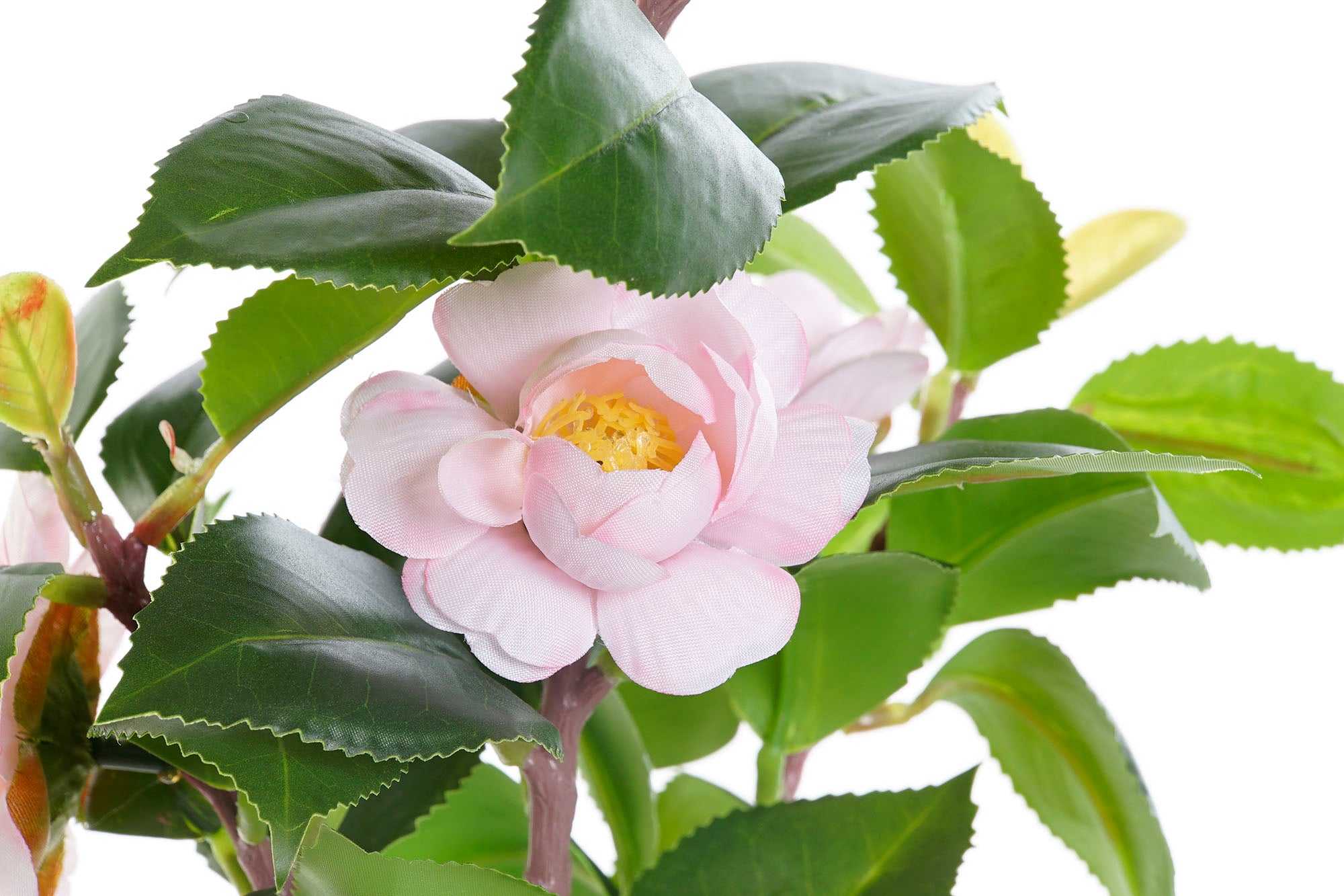 PACK DE 4 PLANTA PVC EVA 23X18X38 ROSAL ROSA PALO