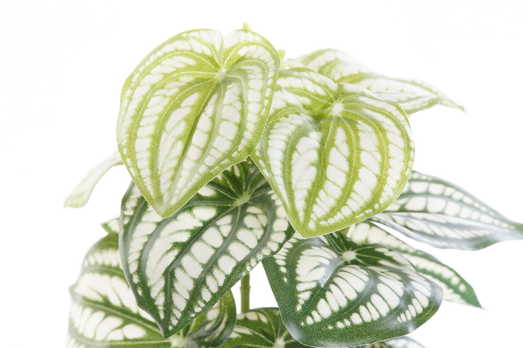 PACK DE 4 PLANTA PVC PLASTICO 13X13X27 VERDE