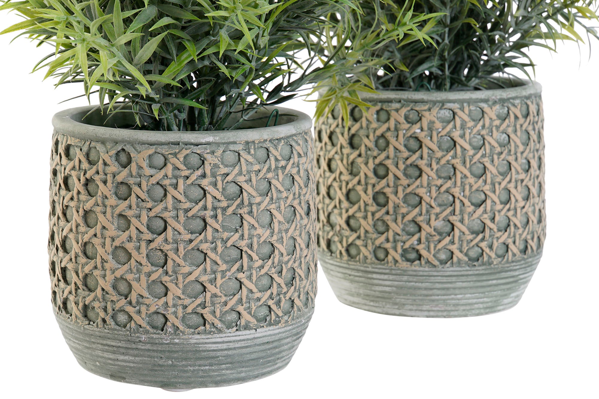 PACK DE 12 PLANTA RESINA PE 12X12X25 2 SURT.