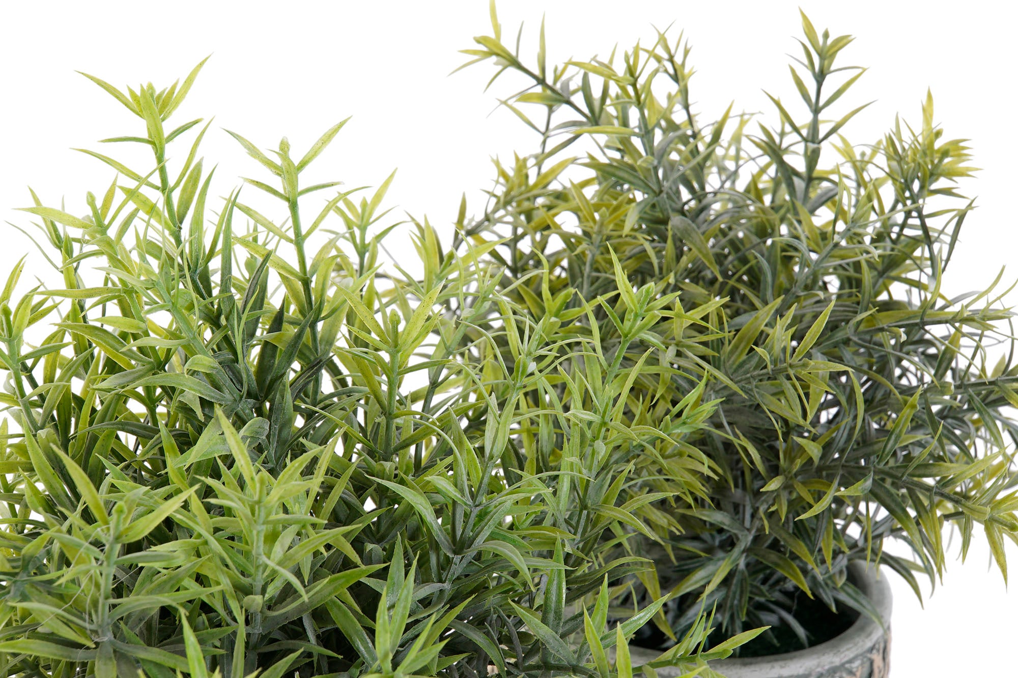 PACK DE 12 PLANTA RESINA PE 12X12X25 2 SURT.