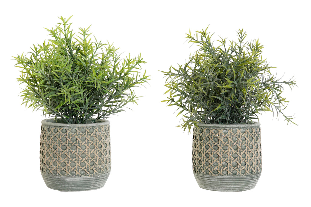 PACK DE 12 PLANTA RESINA PE 12X12X25 2 SURT.