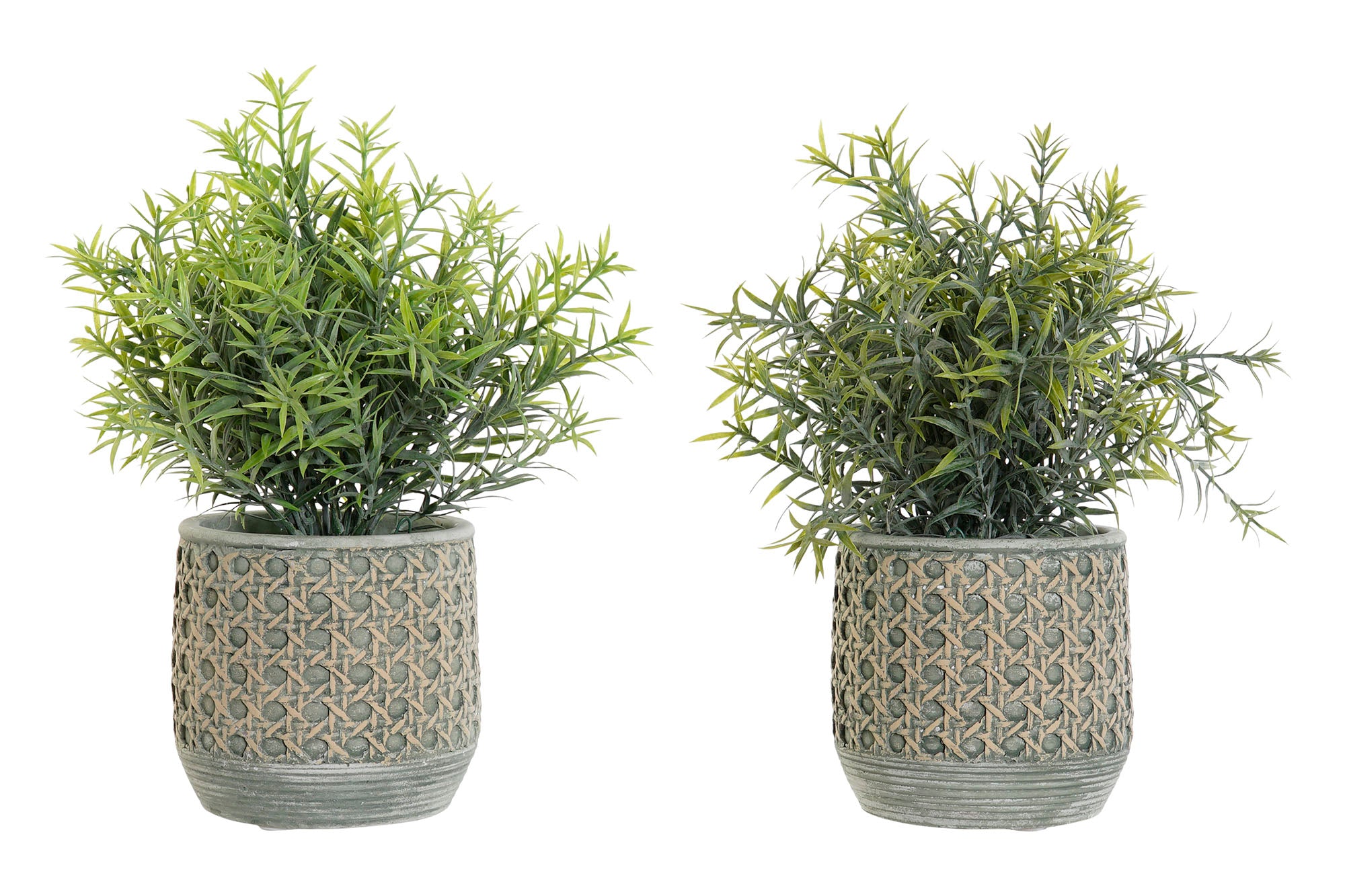 PACK DE 12 PLANTA RESINA PE 12X12X25 2 SURT.