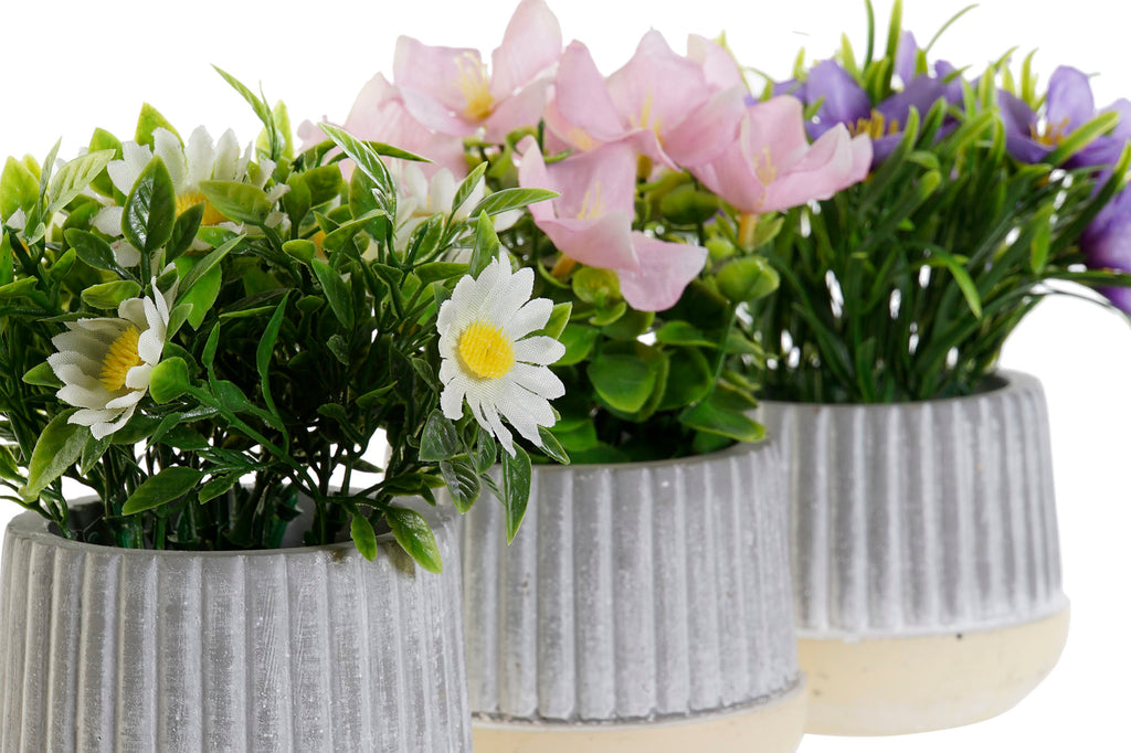 PACK DE 12 PLANTA CEMENTO PE 13X13X15 3 SURT.