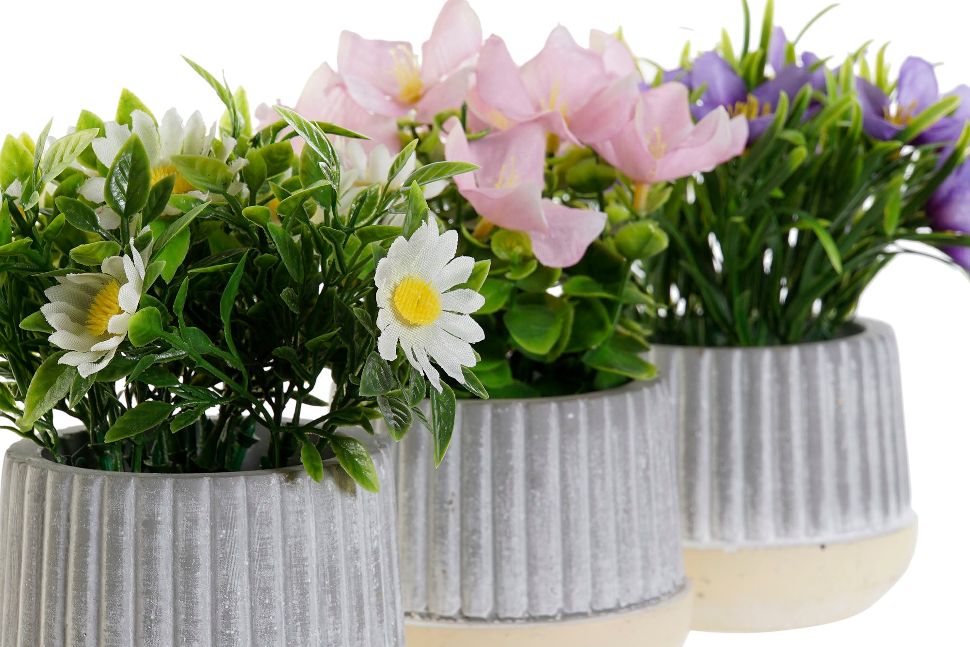 PACK DE 12 PLANTA CEMENTO PE 13X13X15 3 SURT.