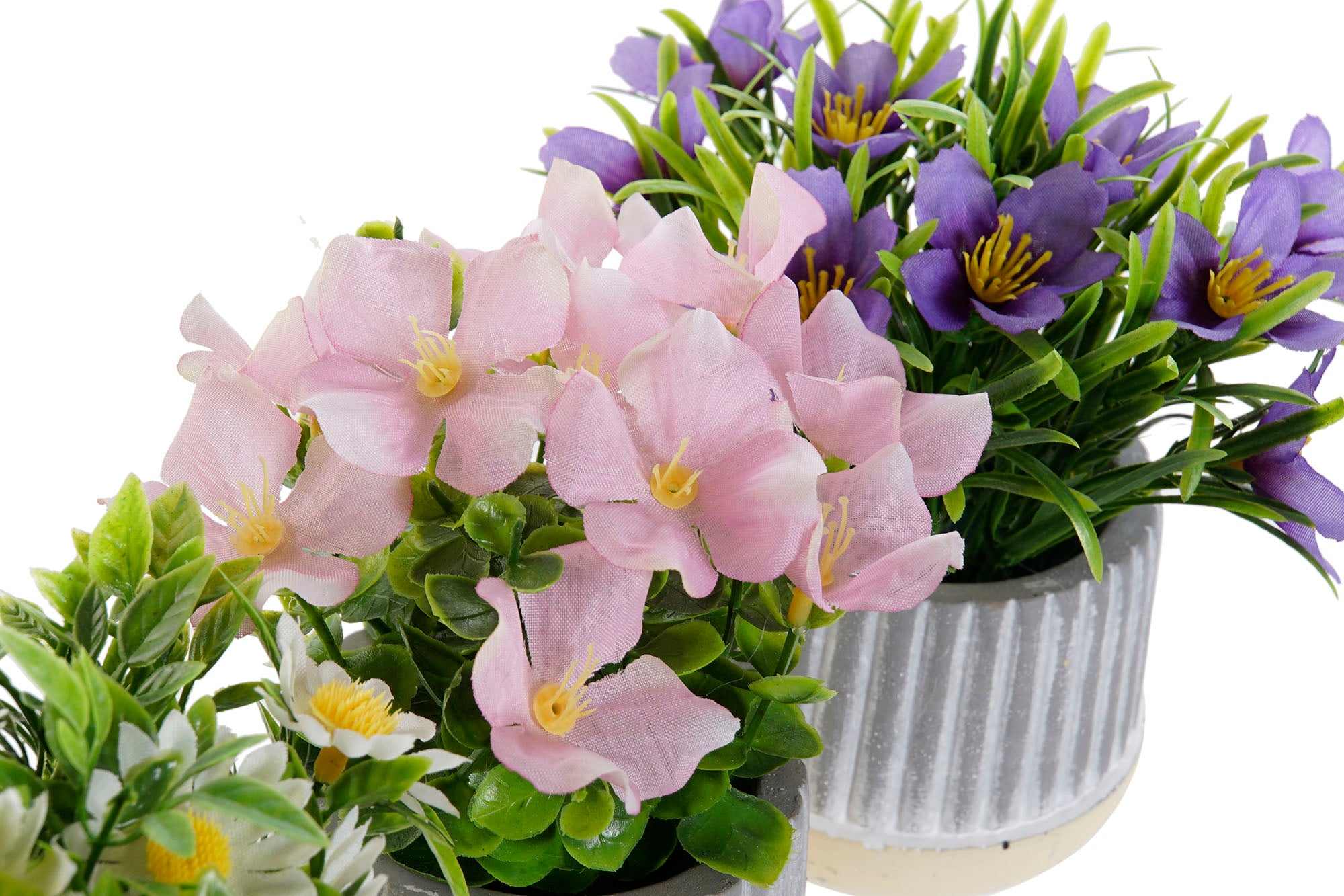 PACK DE 12 PLANTA CEMENTO PE 13X13X15 3 SURT.