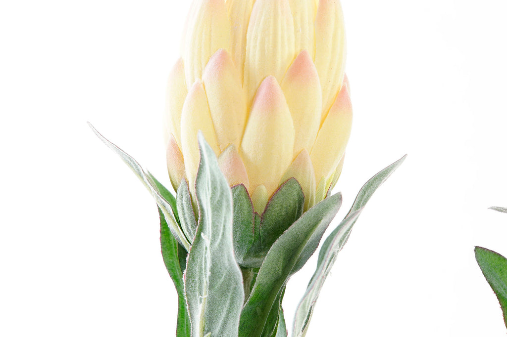 PACK DE 24 FLOR PE HIERRO 15X15X65 ALCACHOFA 2 SURT.