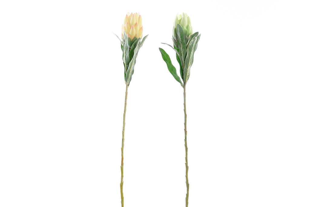 PACK DE 24 FLOR PE HIERRO 15X15X65 ALCACHOFA 2 SURT.