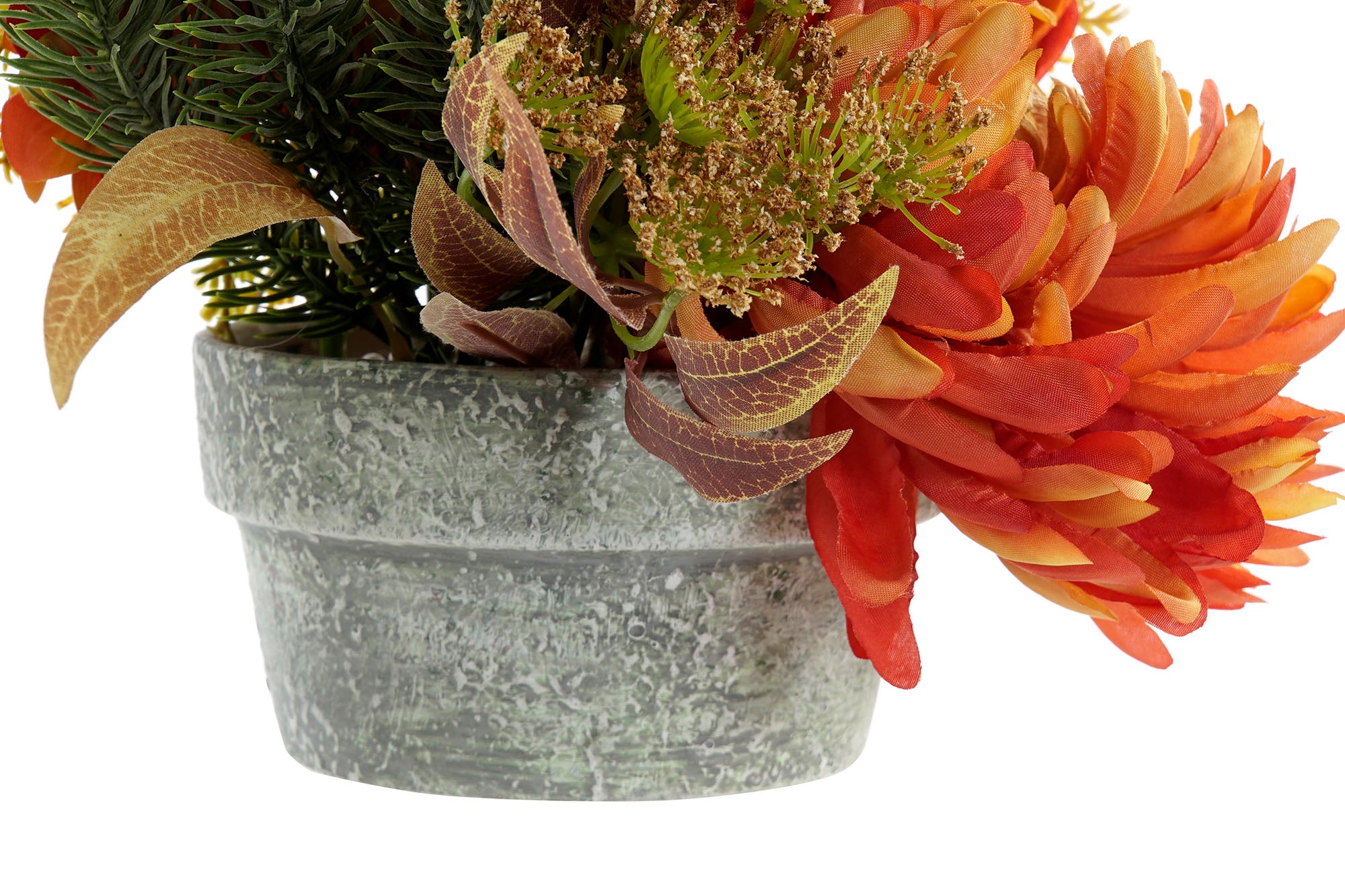 PACK DE 12 PLANTA PE HIERRO 30X30X26 3 SURT.