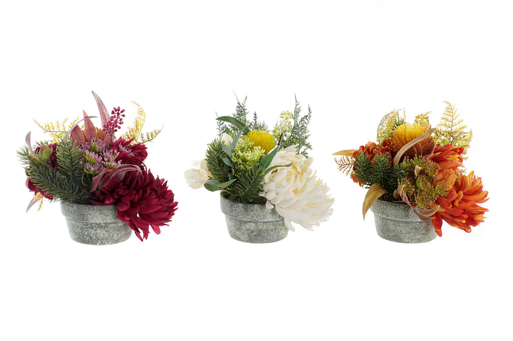 PACK DE 12 PLANTA PE HIERRO 30X30X26 3 SURT.