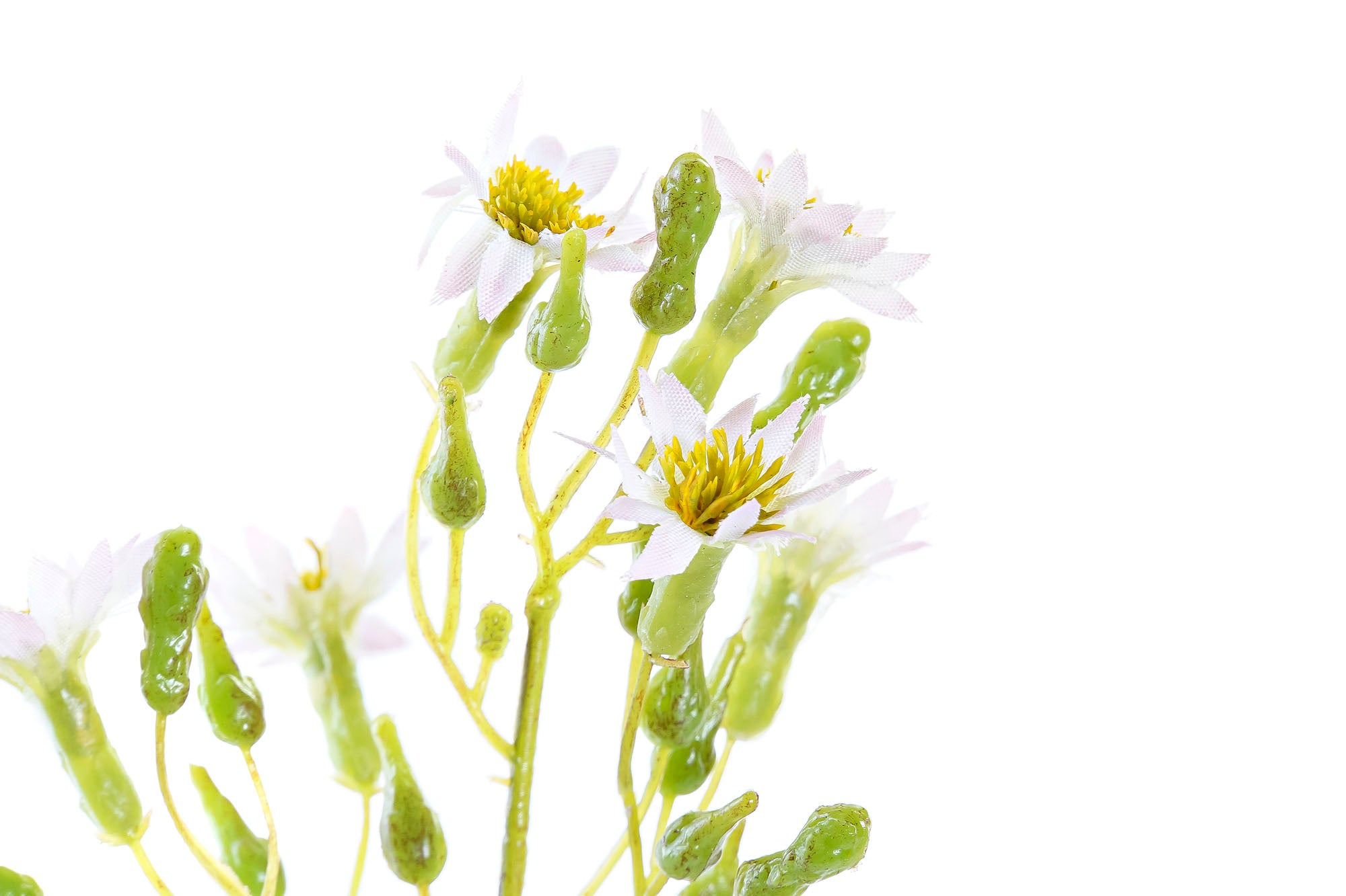 PACK DE 48 FLOR POLIESTER PE 15X15X57 RABANO 4 SURT.