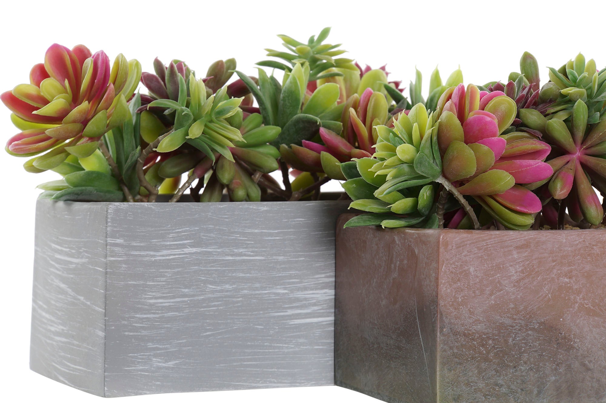 PACK DE 4 PLANTA PE EVA 23,5X11X14,5 2 SURT.