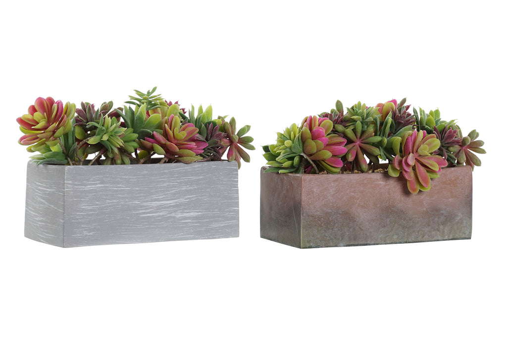 PACK DE 4 PLANTA PE EVA 23,5X11X14,5 2 SURT.