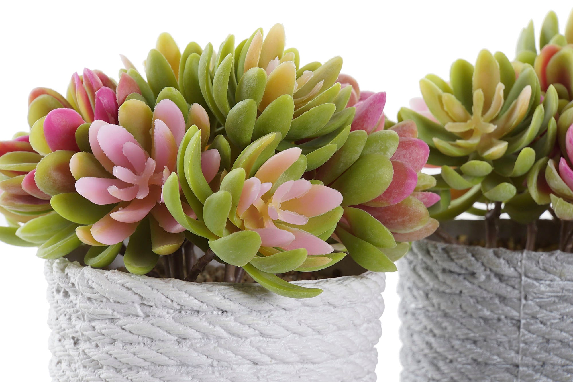 PACK DE 4 PLANTA PE EVA 14,5X14,5X16 2 SURT.