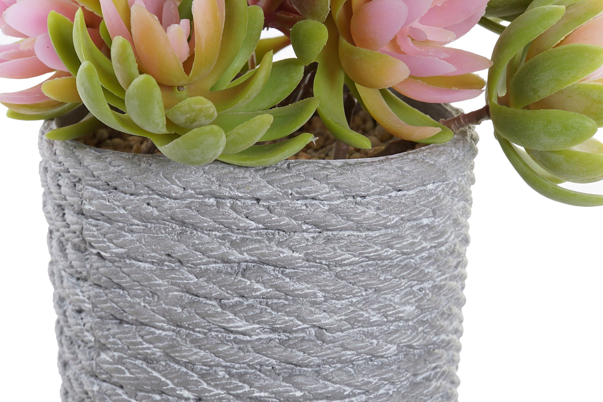 PACK DE 4 PLANTA PE EVA 14,5X14,5X16 2 SURT.