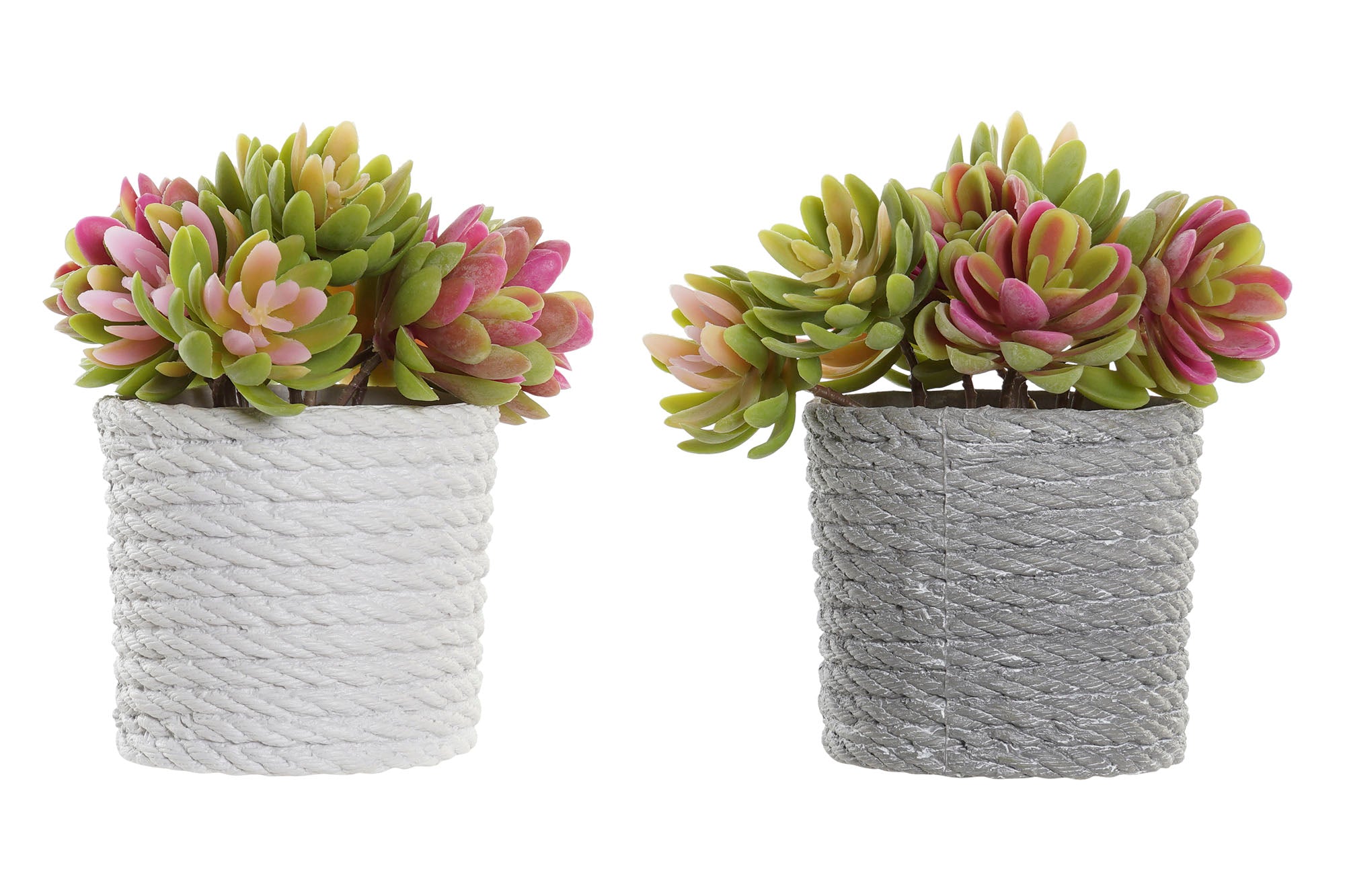 PACK DE 4 PLANTA PE EVA 14,5X14,5X16 2 SURT.