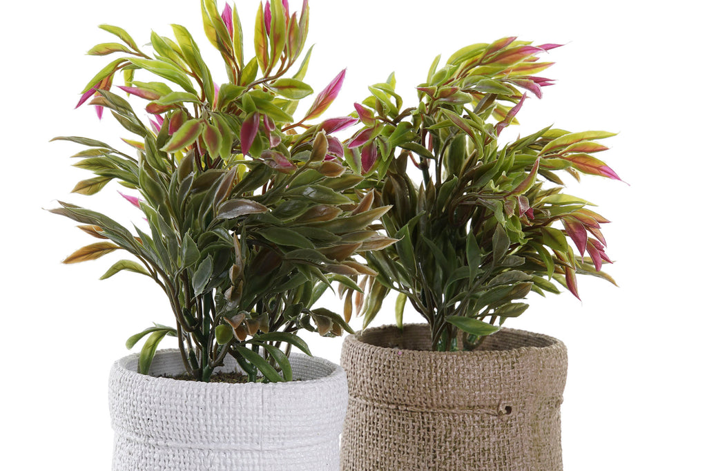 PACK DE 4 PLANTA PE EVA 16X16X21 2 SURT.