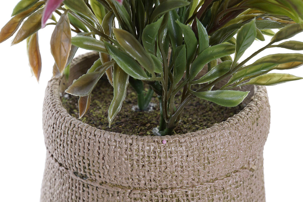 PACK DE 4 PLANTA PE EVA 16X16X21 2 SURT.