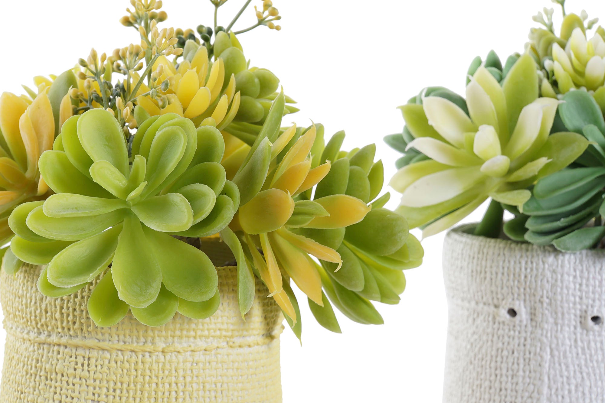 PACK DE 4 PLANTA PE EVA 15X15X19 LOTUS 2 SURT.