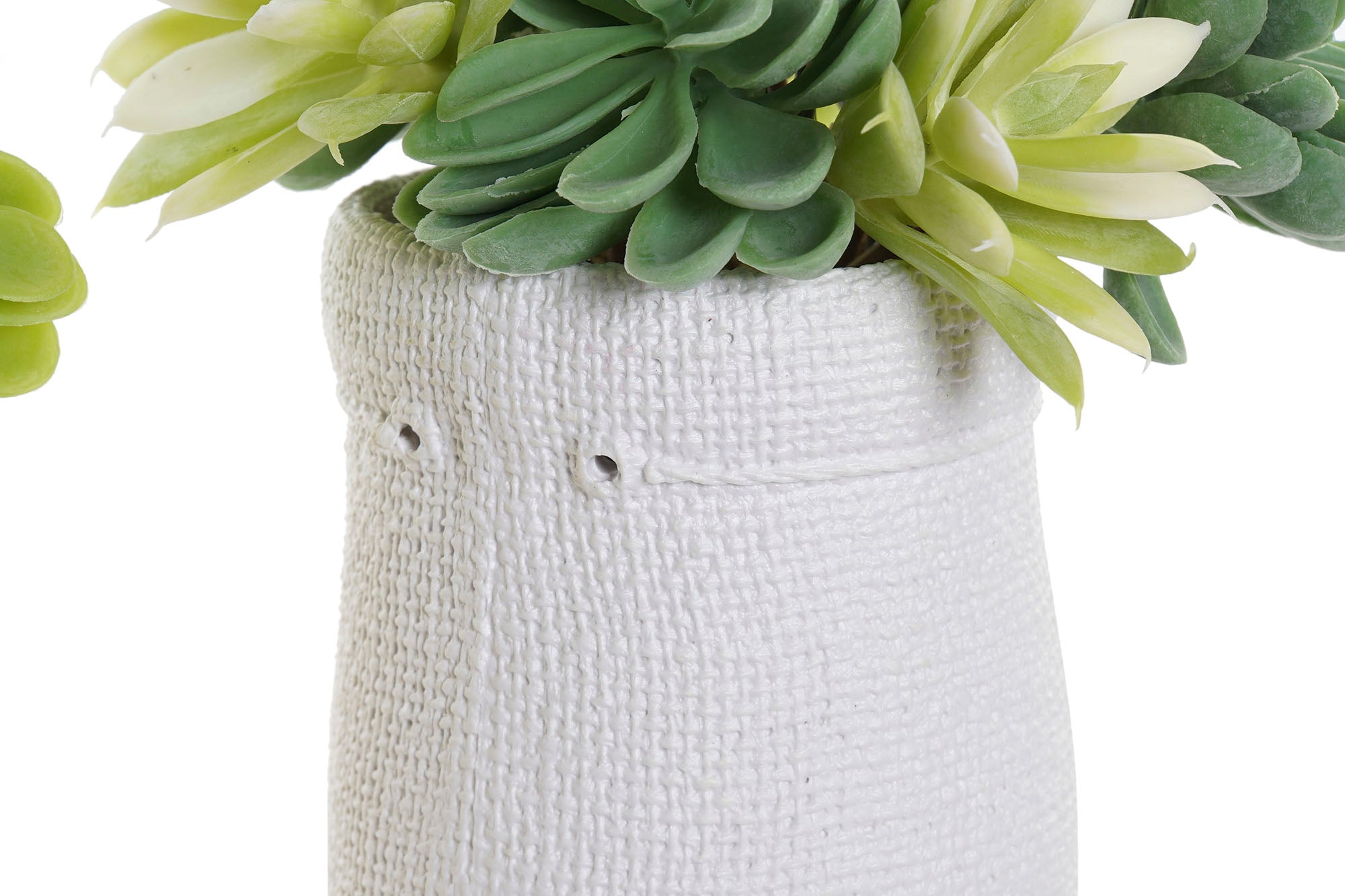 PACK DE 4 PLANTA PE EVA 15X15X19 LOTUS 2 SURT.