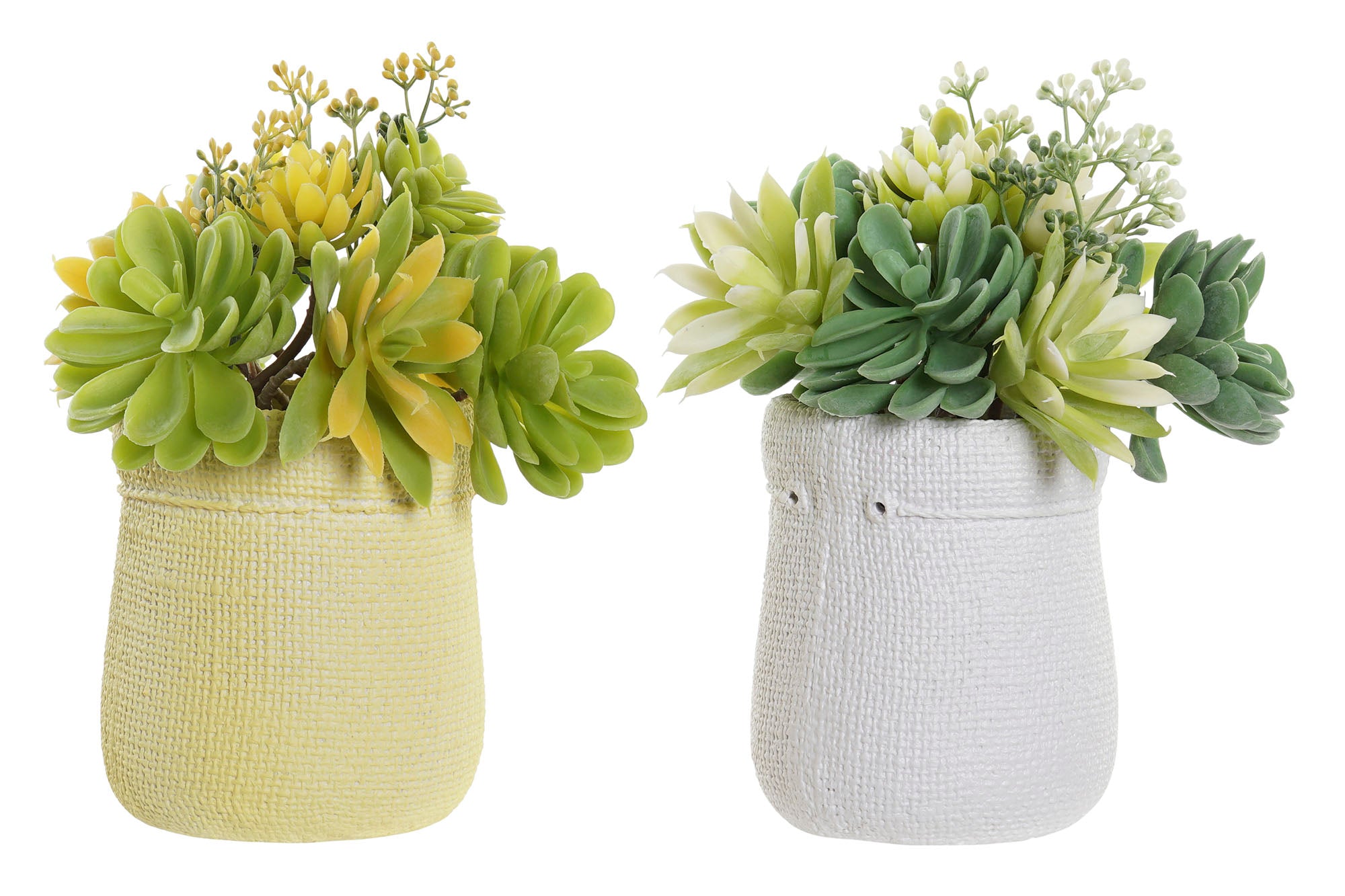 PACK DE 4 PLANTA PE EVA 15X15X19 LOTUS 2 SURT.