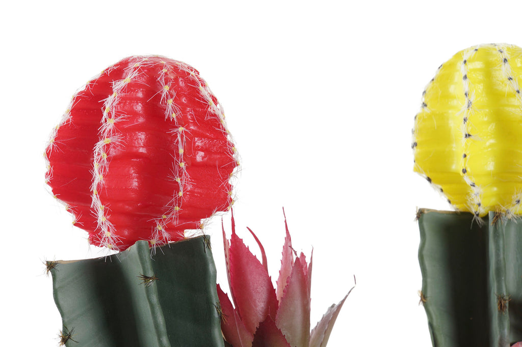 PACK DE 6 PLANTA PE EVA 17X16X28 2 SURT.