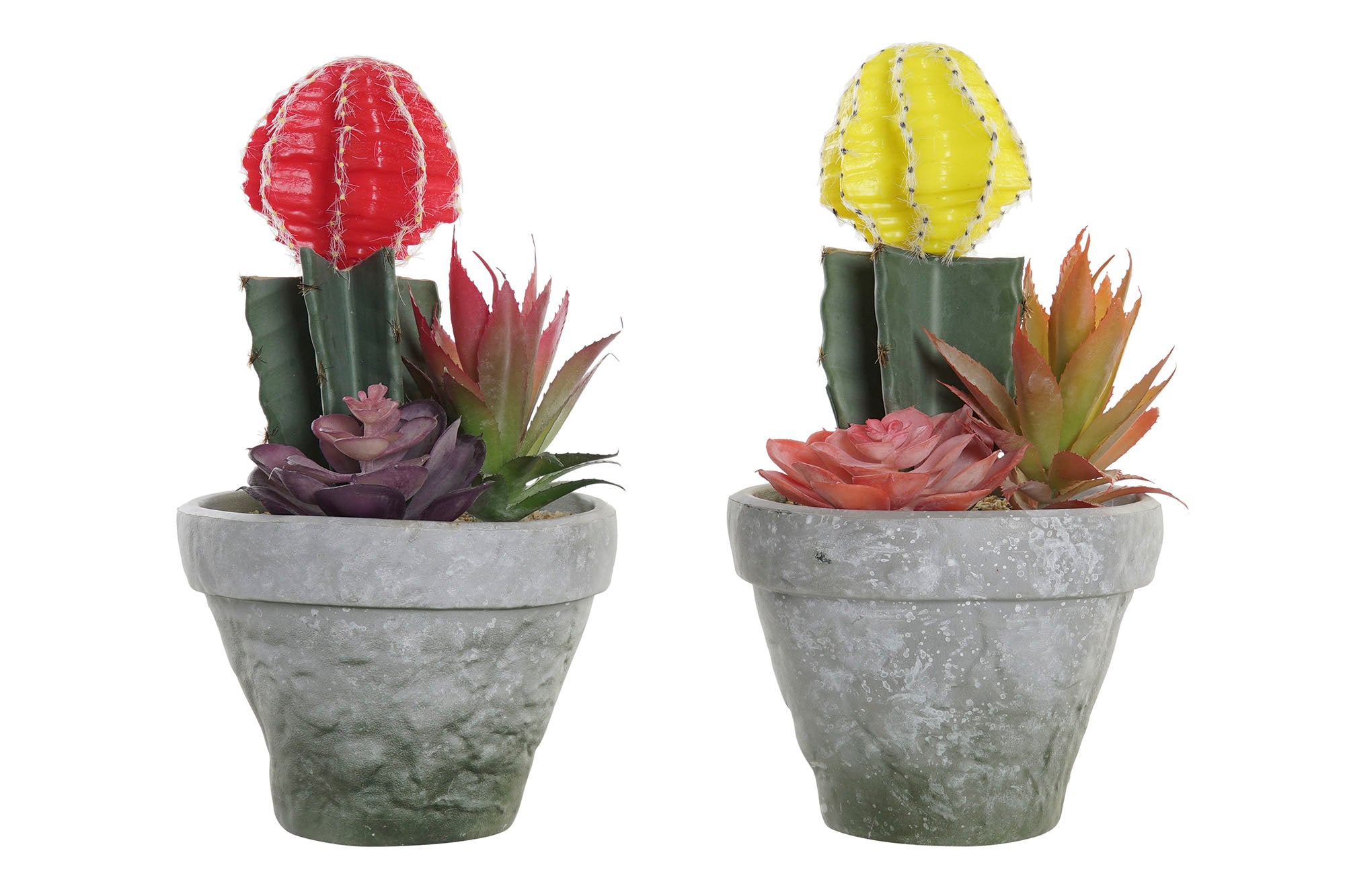 PACK DE 6 PLANTA PE EVA 17X16X28 2 SURT.