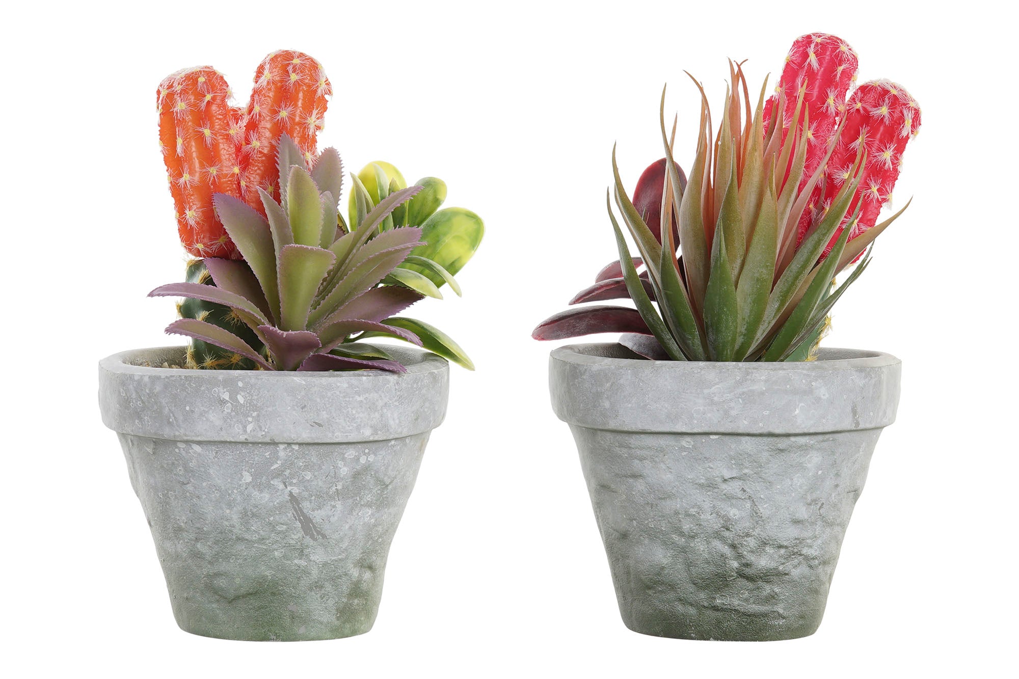 PACK DE 4 PLANTA PE EVA 16X12,5X19,5 2 SURT.