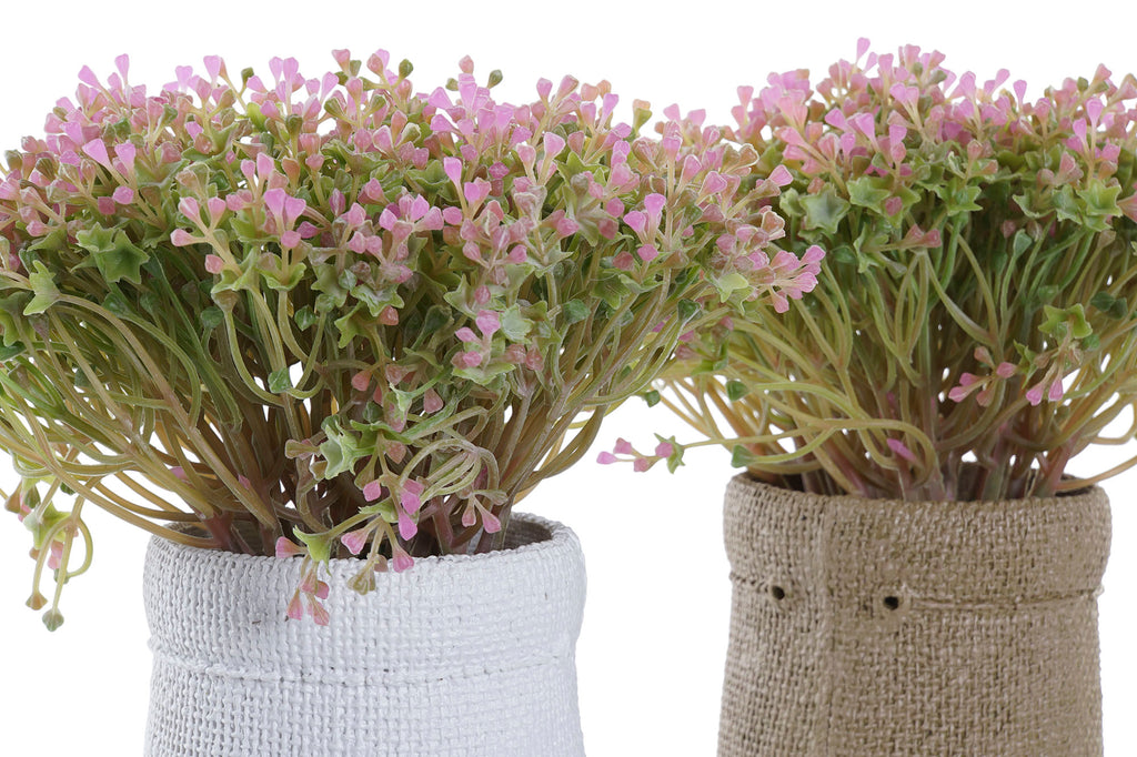 PACK DE 4 PLANTA PE EVA 20X20X19 2 SURT.