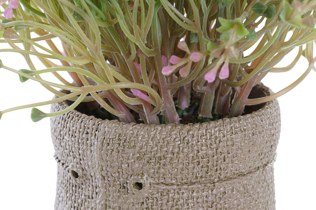 PACK DE 4 PLANTA PE EVA 20X20X19 2 SURT.