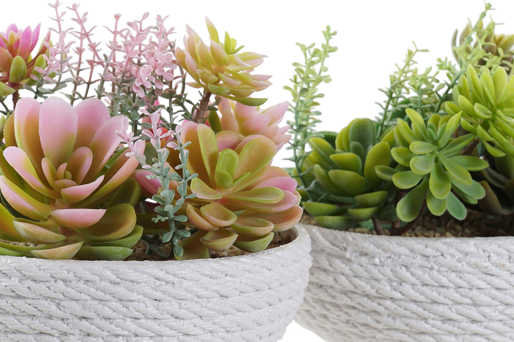 PACK DE 4 PLANTA PE EVA 17X17X14 2 SURT.