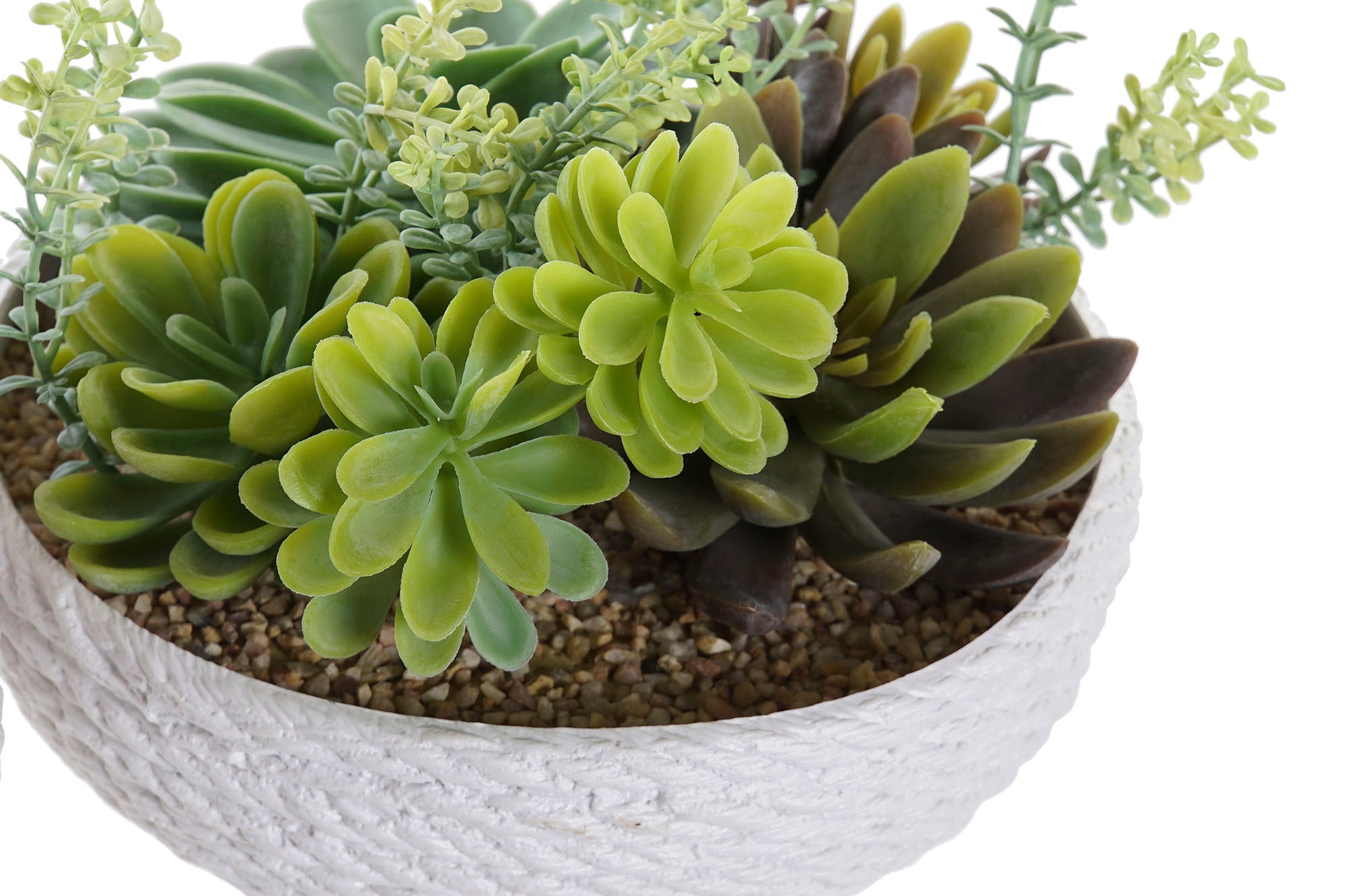 PACK DE 4 PLANTA PE EVA 17X17X14 2 SURT.