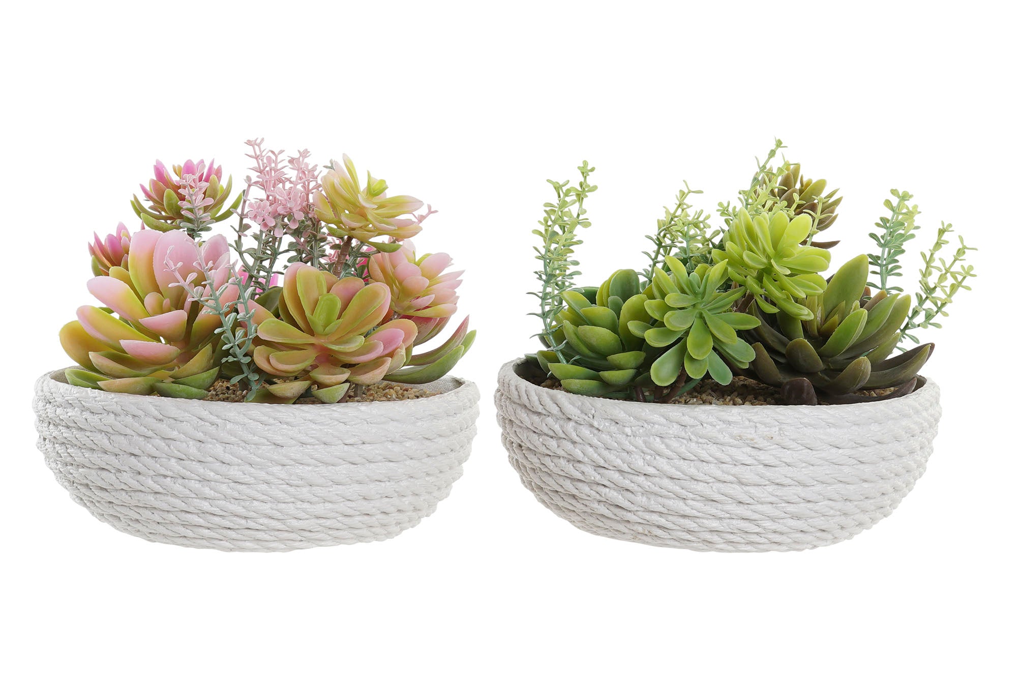 PACK DE 4 PLANTA PE EVA 17X17X14 2 SURT.