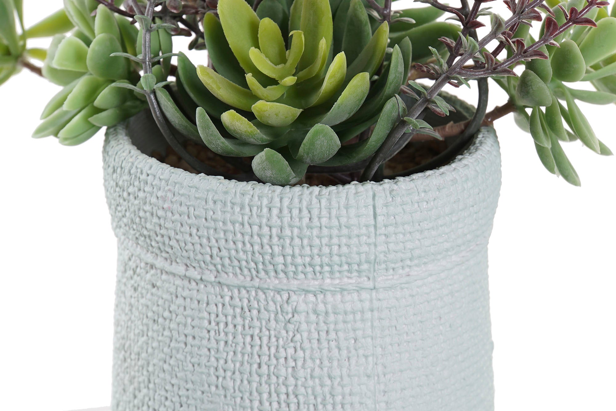 PACK DE 4 PLANTA PE EVA 18X10X18 2 SURT.